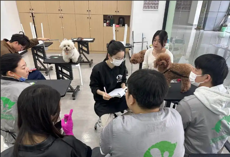 鞍山市宠物美容学习宠物美容培训学校 - 厂家
